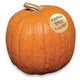 Illustration for article titled iKotaku/i Shop Contest: Pumpkin Spice Armageddon: Winners!